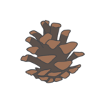 松ぼっくりのイラスト