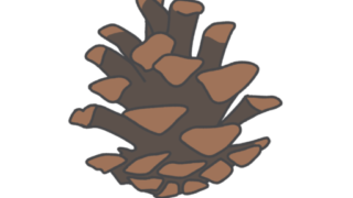 松ぼっくりのイラスト