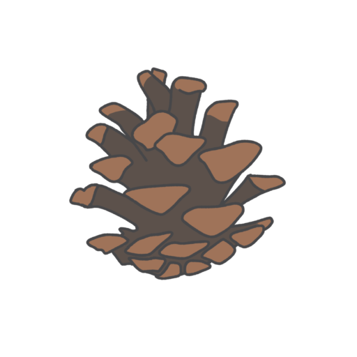 松ぼっくりのイラスト