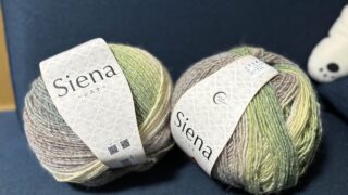 抹茶ラテみたいな毛糸