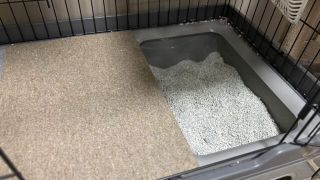 猫砂が飛び散ったおトイレ